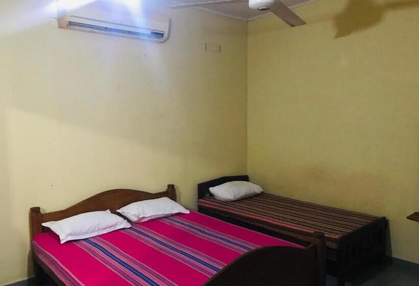 Отель Green Parrot Family Resort