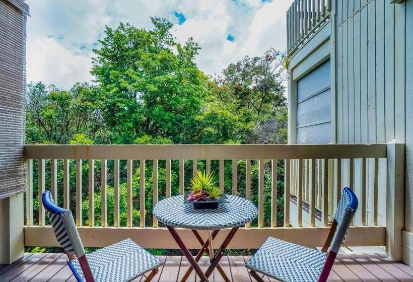 فندق Hale Moi #103