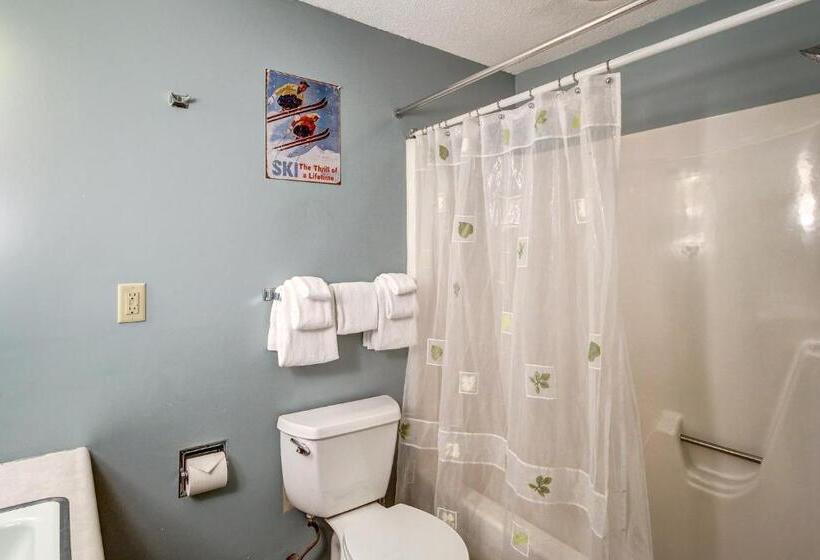 هتل Okemo Trailside 08e