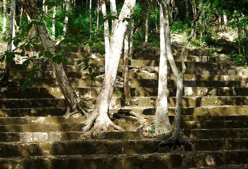 فندق Puerta Calakmul