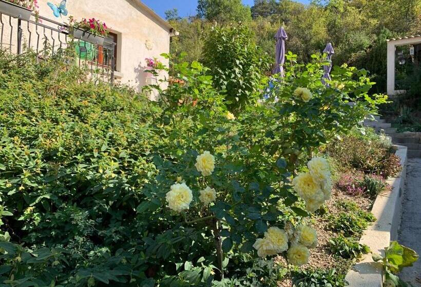 Maison Castellane Chambre D Hotes B&b