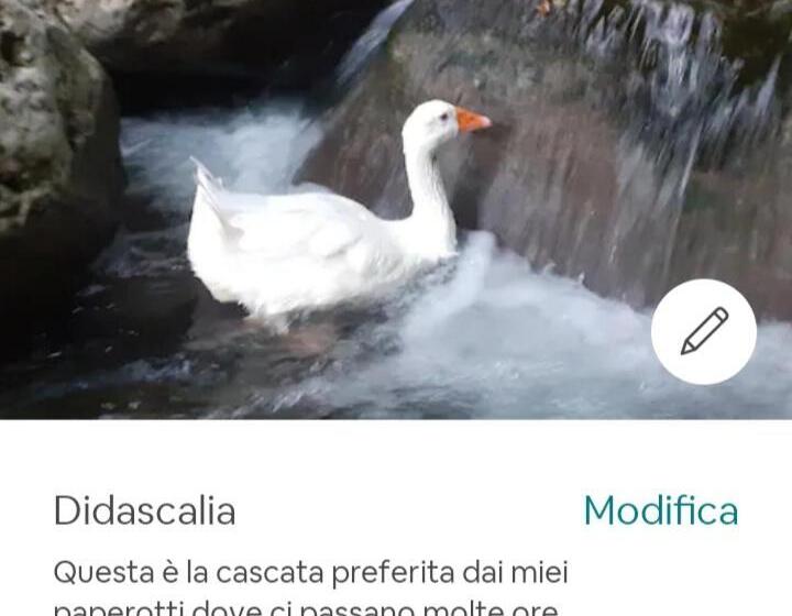 بنسيون B&b Candalla