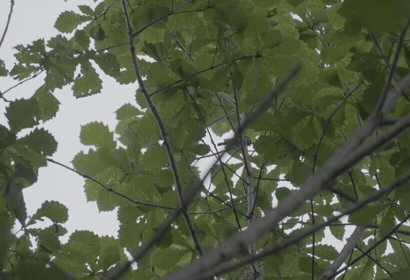 膳宿费 小さな森の貸し切り宿forest House Ranapirica