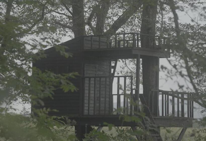 膳宿费 小さな森の貸し切り宿forest House Ranapirica