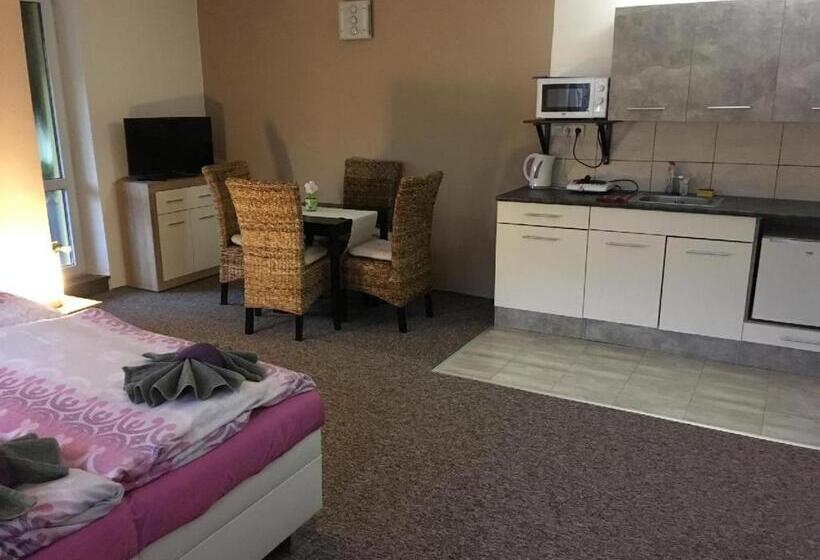 펜션 Penzion Chlumec