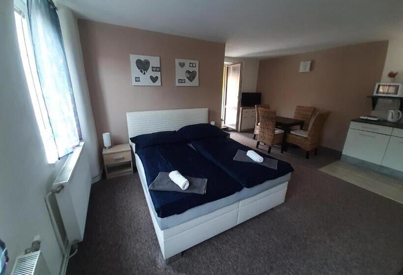 펜션 Penzion Chlumec