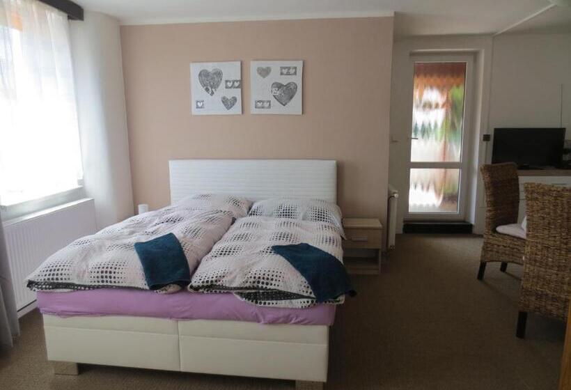 펜션 Penzion Chlumec