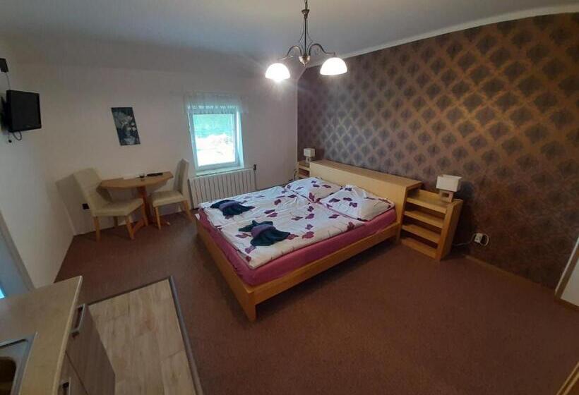 펜션 Penzion Chlumec