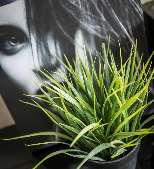 پانسیون Tsim Sha Tsui