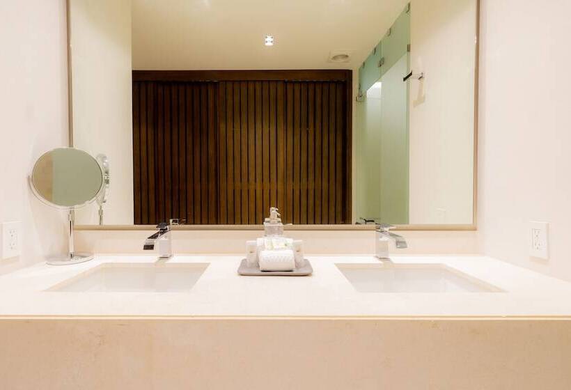 The Paraiso Residences At Marina Cabo