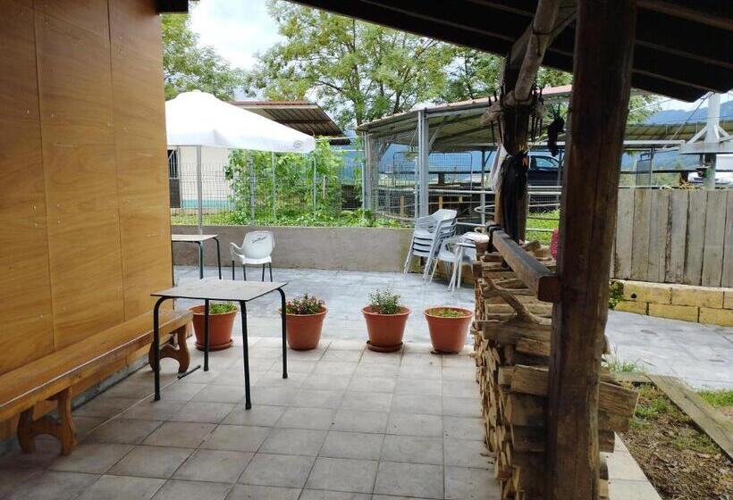 هاستل Alarpe Aterpetxea Bss00035