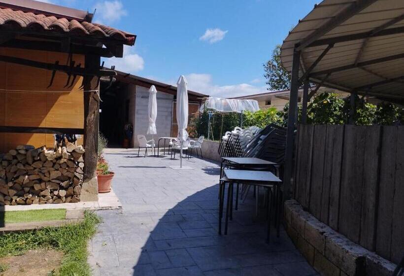 هاستل Alarpe Aterpetxea Bss00035