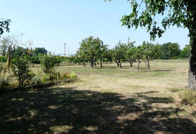 B&b Villino Margherita