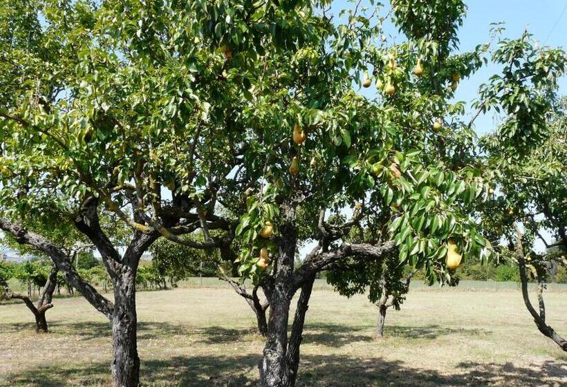 B&b Villino Margherita