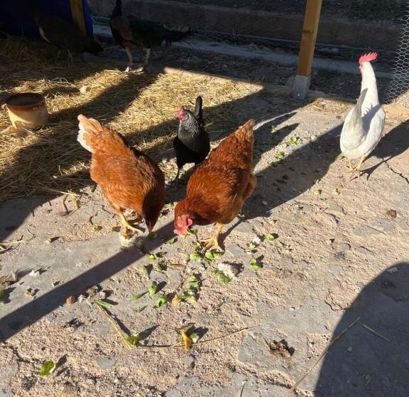 مبيت وإفطار Casa Rural Finca Juanamare