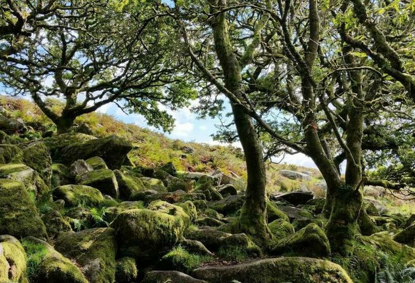 住宿加早餐  Higher Coombe