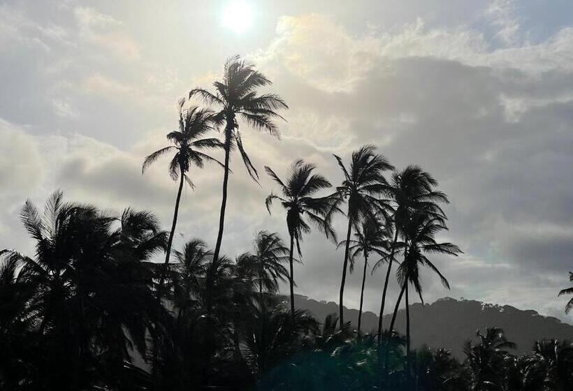 Comunidad Calle 13 Hotel Boutique