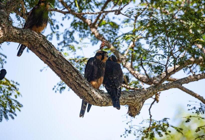 El Transito Hotel Boutique