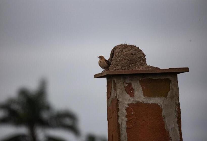 El Transito Hotel Boutique
