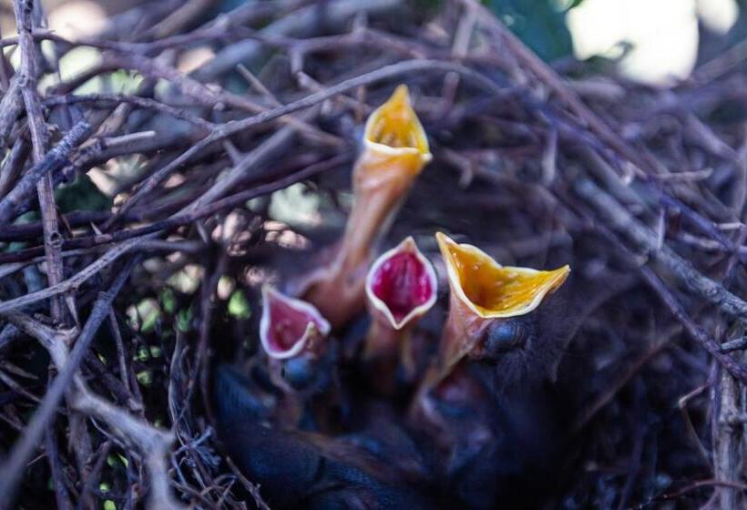 El Transito Hotel Boutique