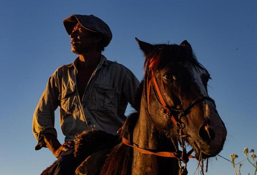 El Transito Hotel Boutique