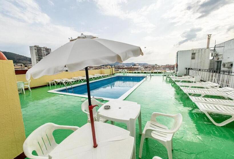 فندق Continental