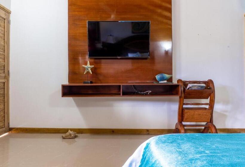 ホテル Isla Lizamar