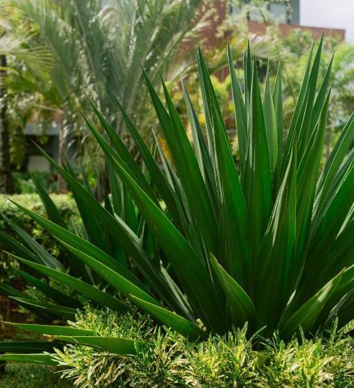 هتل Nacpan Beach Resort Managed By H Hospitality Group