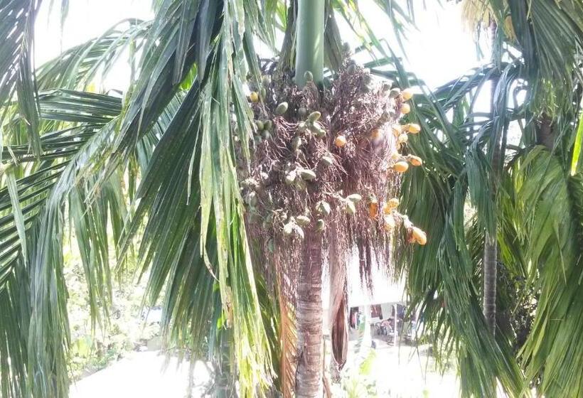 ホテル Rung Phangan