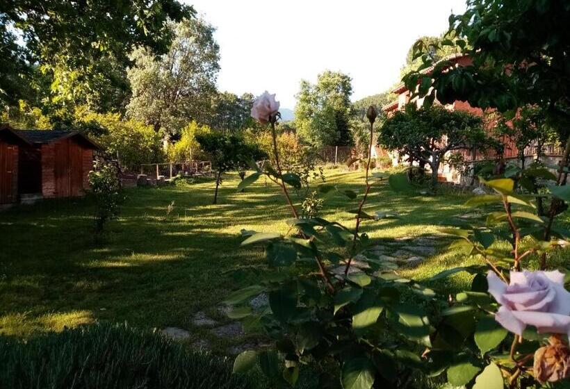 Отель Rural El Marquesito Antigua Casa Carmela