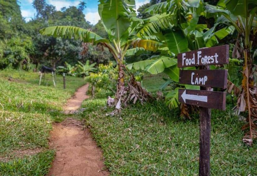 בית מלון כפרי Sky Island Resort