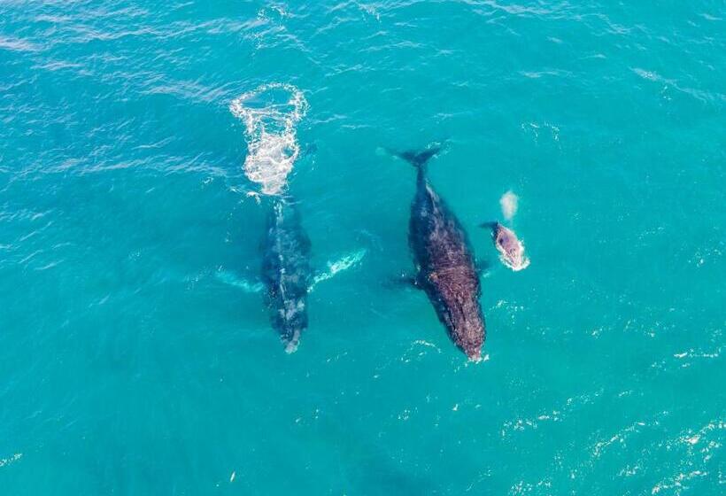 ホテル Sky Island Resort