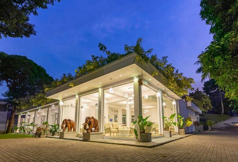 호텔 Waters Spring