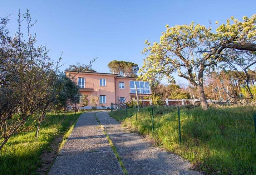 La Camelia Bianca B&b