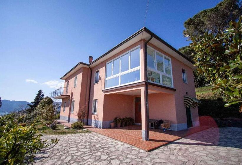 La Camelia Bianca B&b