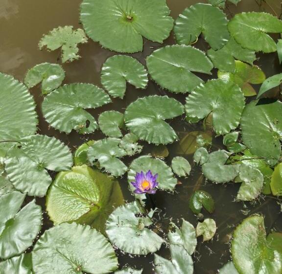 펜션 Baan Suan La Moon