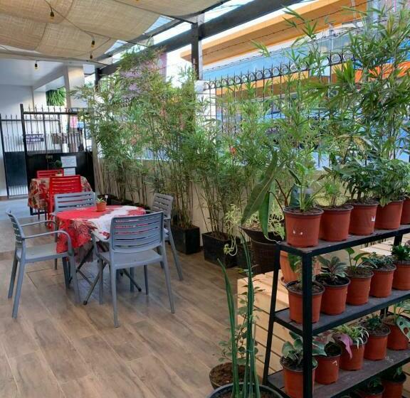 膳宿费 Brielles Travellers Inn