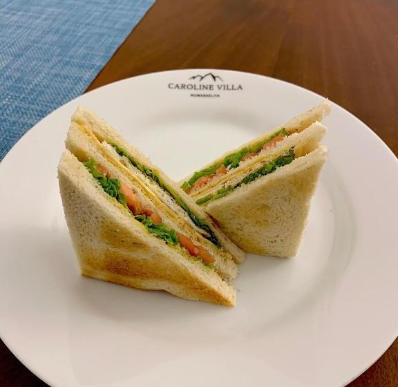 펜션 Caroline Villa, Nuwara Eliya