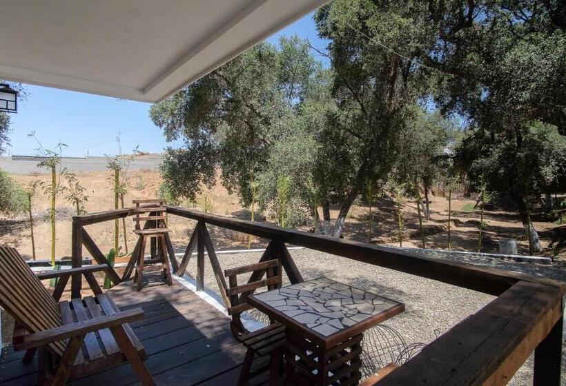 بنسيون Casa De Sara