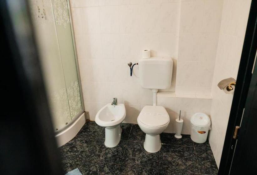 Пансион Casa Octavian