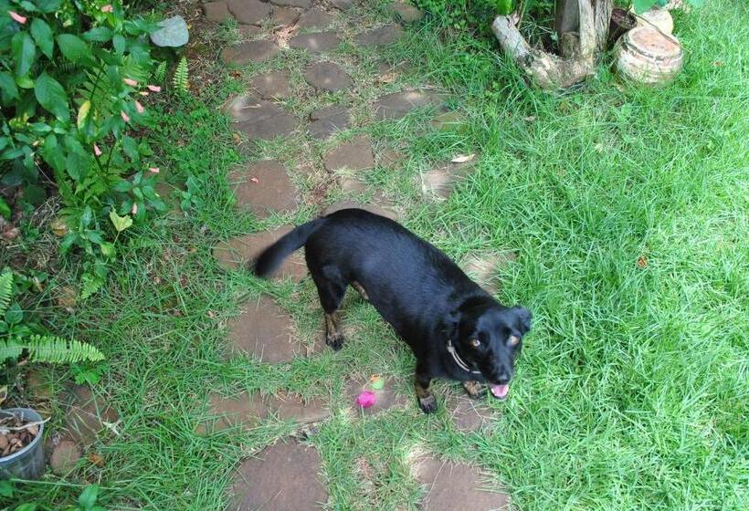 Пансион Grey House