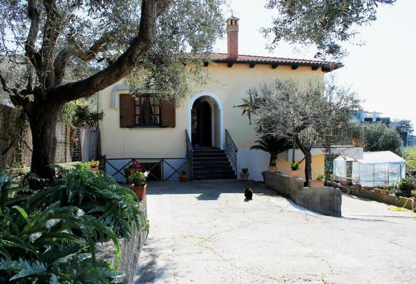 بنسيون Marysa S House