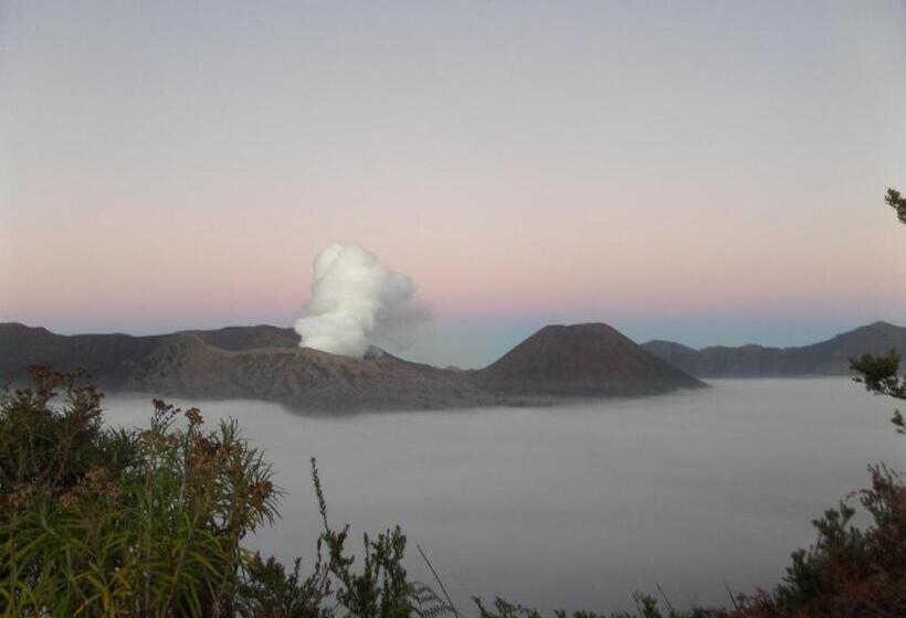 פנסיון Rumah Singgah Brm