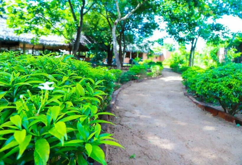 리조트 Cloudz Sigiriya