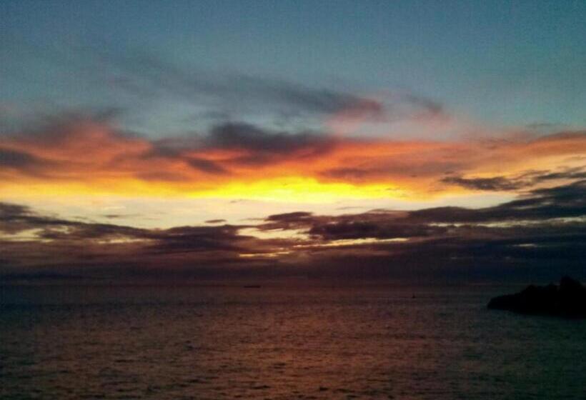 ריוקאן Shirasakiso