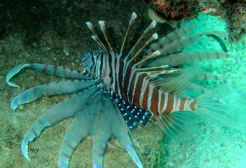 הוסטל Bb Dorm Koh Kood