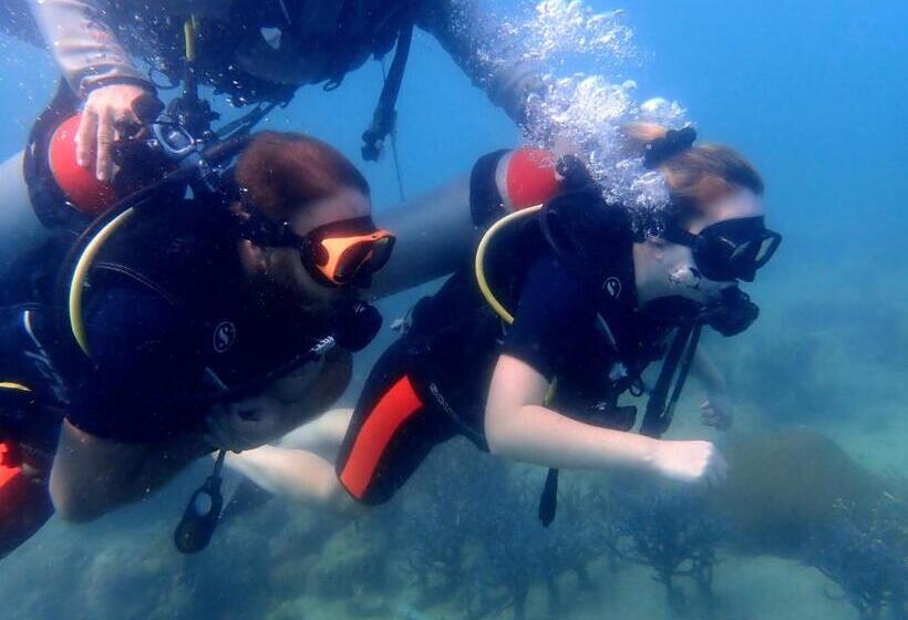 הוסטל Bb Dorm Koh Kood