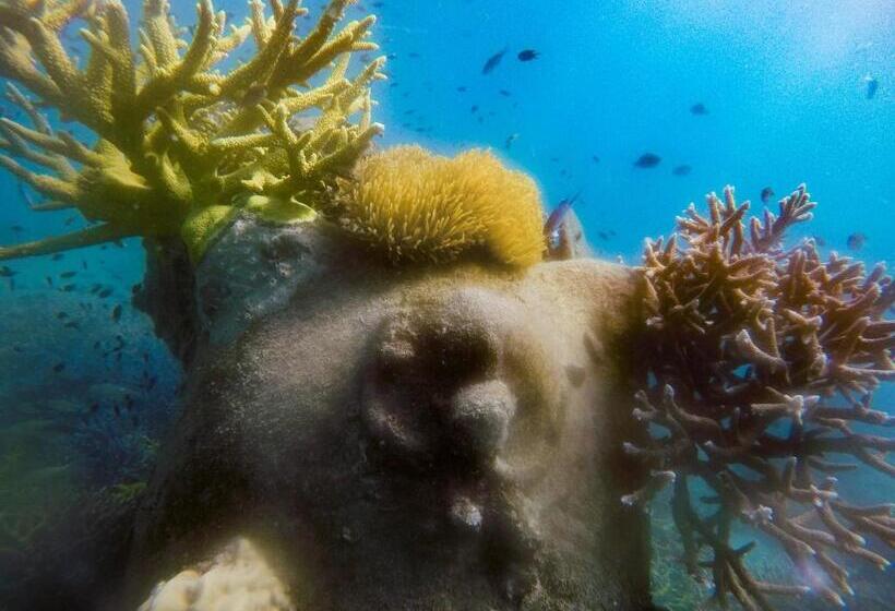 הוסטל Bb Dorm Koh Kood