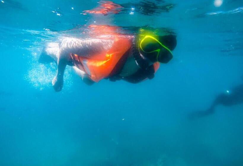 הוסטל Bb Dorm Koh Kood