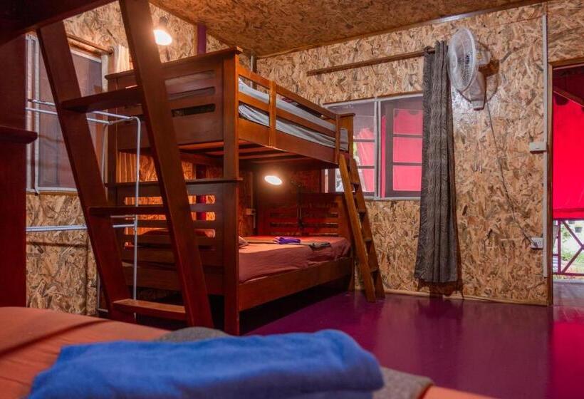 הוסטל Bb Dorm Koh Kood